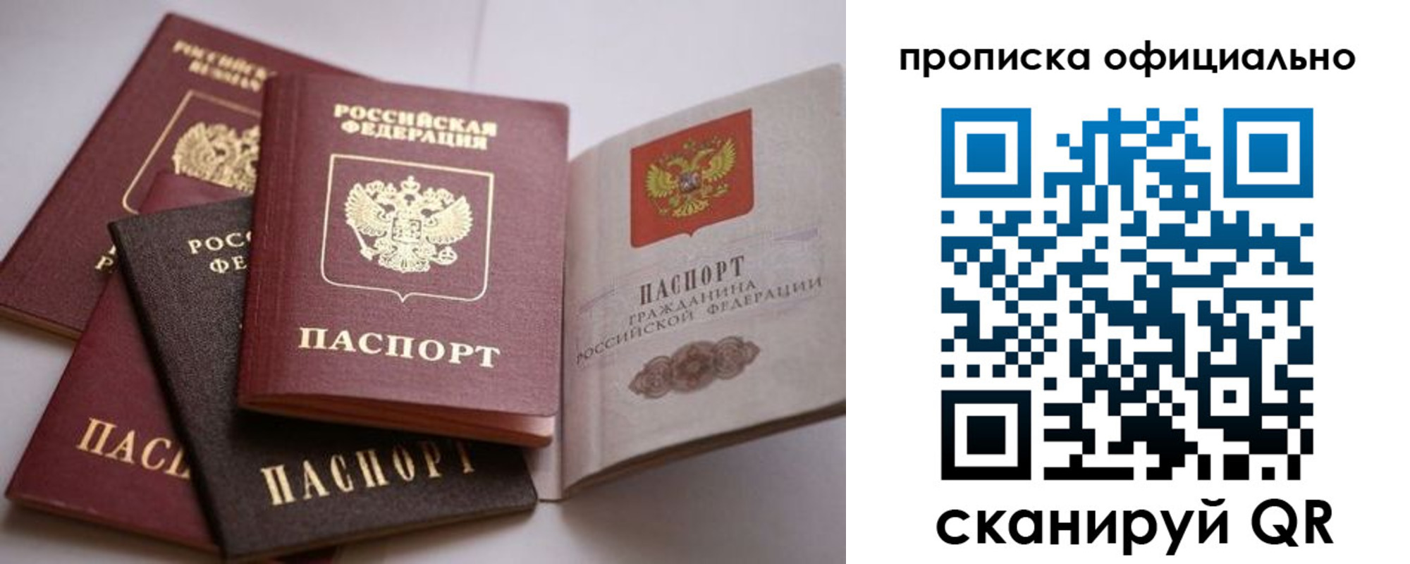 временная регистрация поиск в Димитровграде